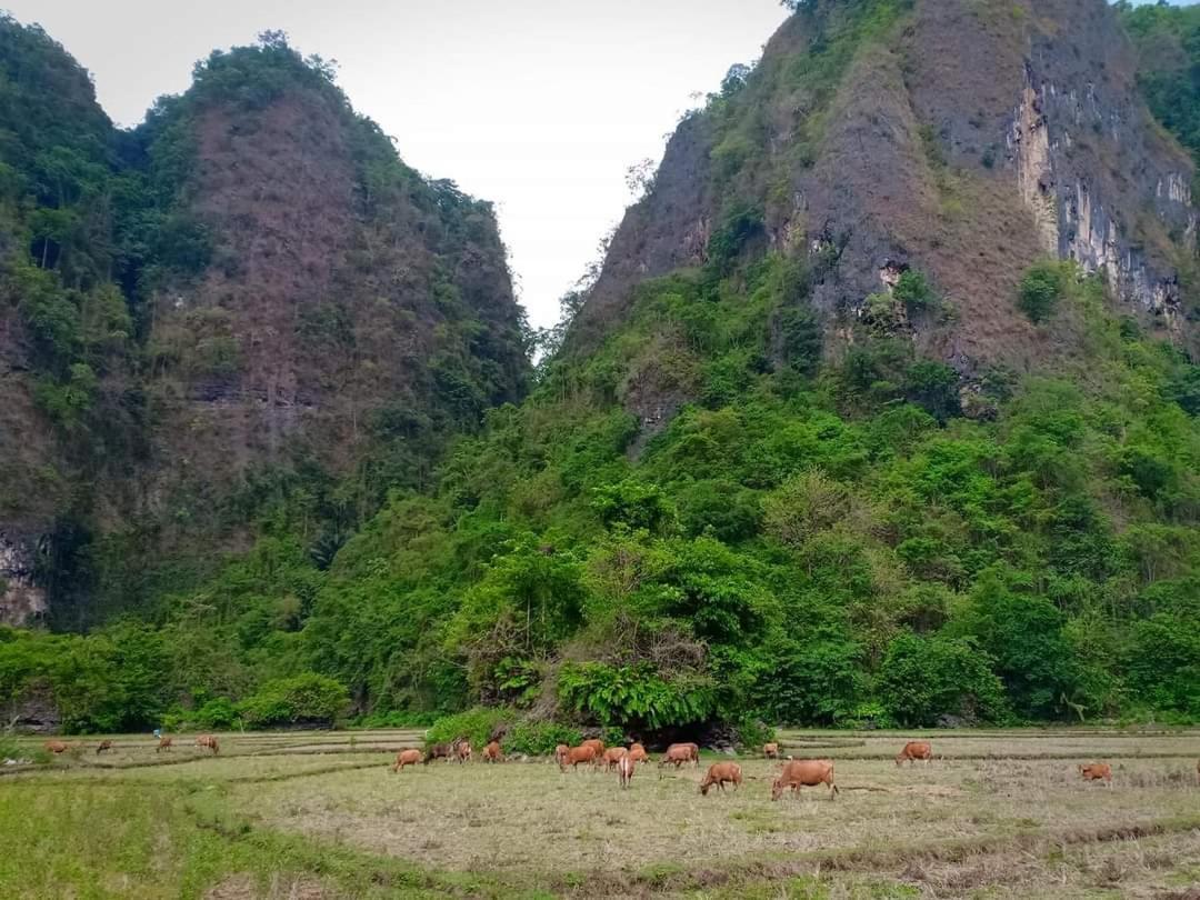 Gasthaus Kampoeng Karst Rammang Rammang Kasijala Exterior foto