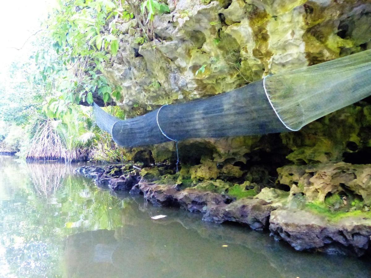 Gasthaus Kampoeng Karst Rammang Rammang Kasijala Exterior foto