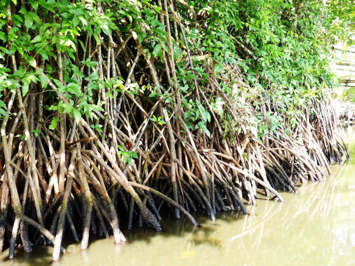 Gasthaus Kampoeng Karst Rammang Rammang Kasijala Exterior foto