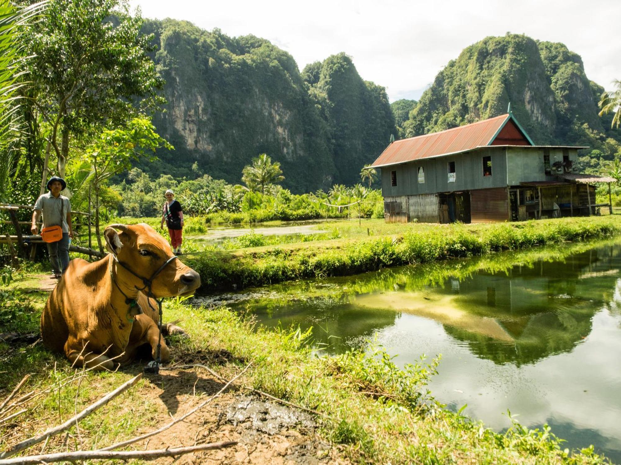 Gasthaus Kampoeng Karst Rammang Rammang Kasijala Exterior foto